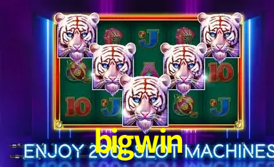 Desvendando o Mundo dos Jogos Virtuais na bigwin