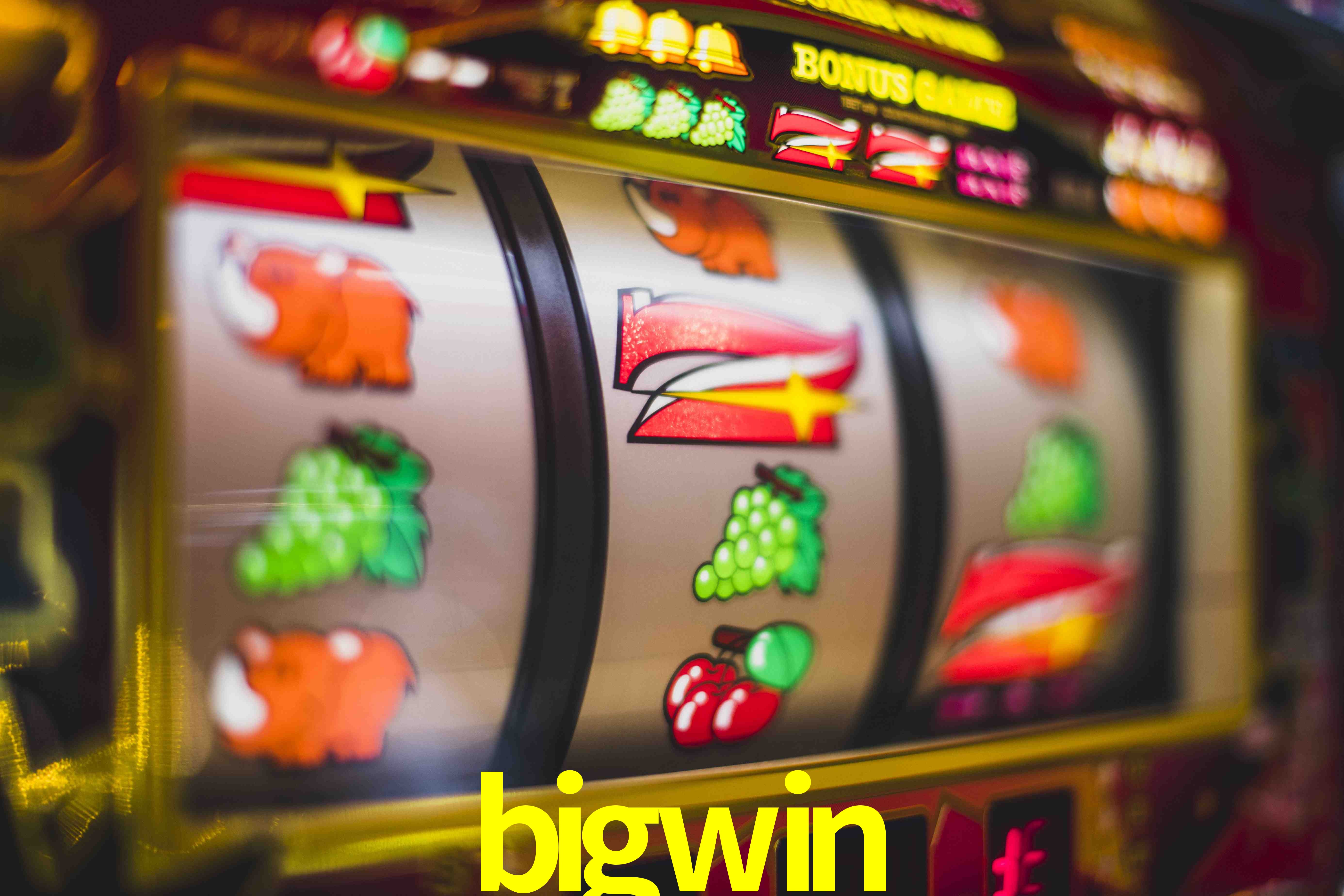Basketball Betting bigwin