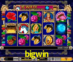 A Experiência Imersiva dos Cassinos Ao Vivo no bigwin