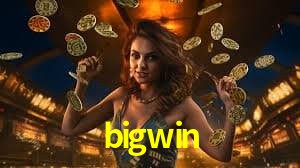 Live Casino bigwin